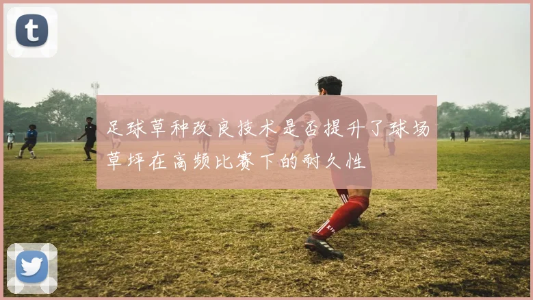 足球草种改良技术是否提升了球场草坪在高频比赛下的耐久性