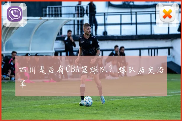四川是否有CBA篮球队？球队历史沿革