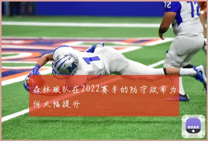 森林狼队在2022赛季的防守效率为何大幅提升